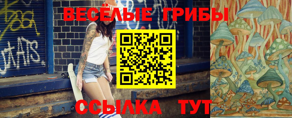 Псилоцибиновые грибы Cubensis  Вход с VPN  Улан-Удэ 