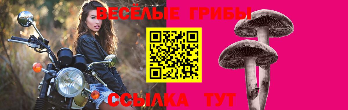 Псилоцибиновые грибы прущие грибы Улан-Удэ